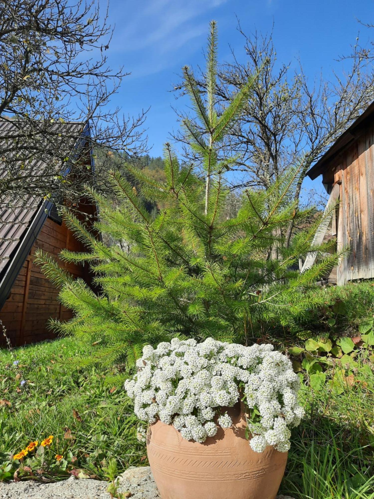 Вилла Vikendica Neven Zaovine Экстерьер фото